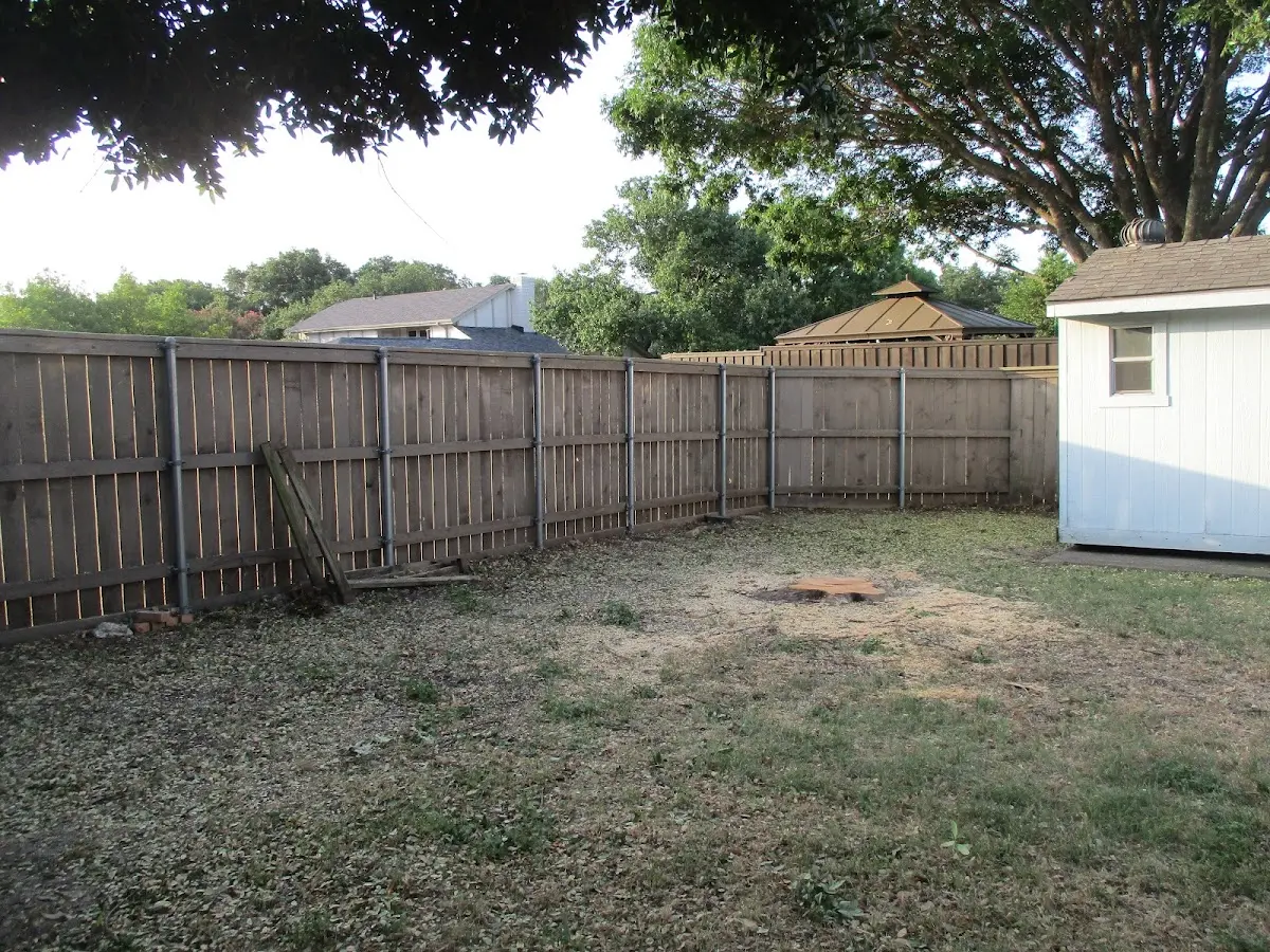 Cleared yard after professional tree removal in Lemoore